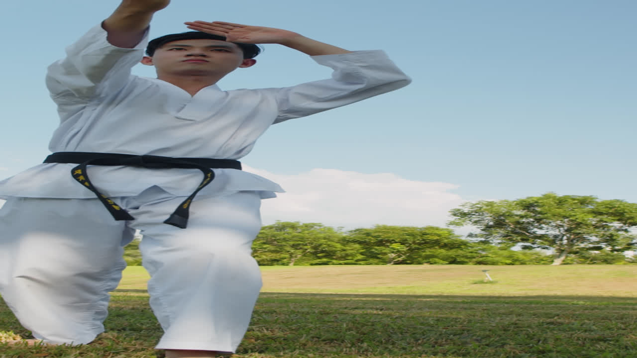 Gen Z Sportsman Practicing Taekwondo Stances
