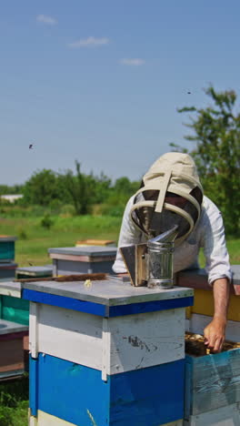 imker, der mit bienenstöcken arbeitet