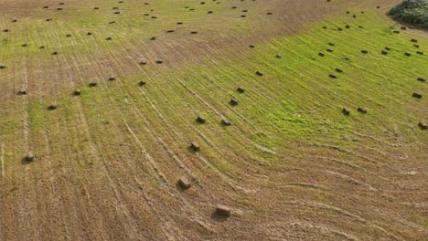 Overhead-view-of-a-field-recently-harvested,-full-of-bales