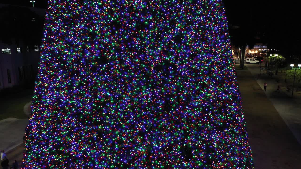 A 100' Christmas Tree in Delray Beach Florida