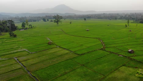 Amplia-Toma-Aérea-Avanzando-Sobre-Campos-En-La-Provincia-De-Salavan,-Laos