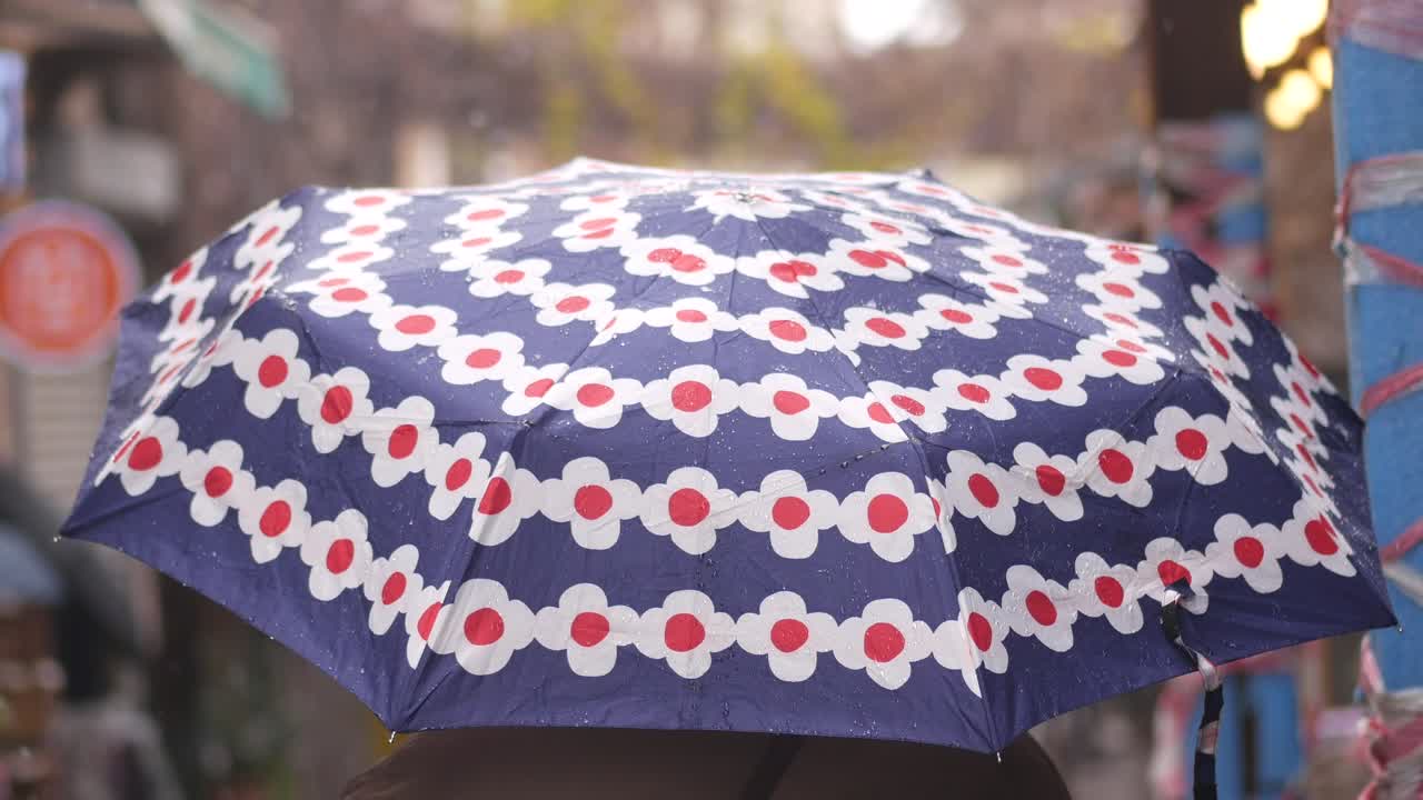 Person with a Floral Umbrella in the Rain