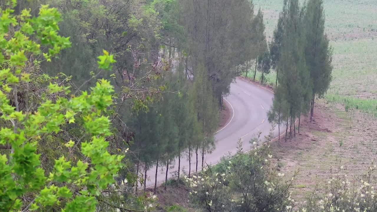 카오 야이 의 휘어지는 도로 를 항해 하는 차