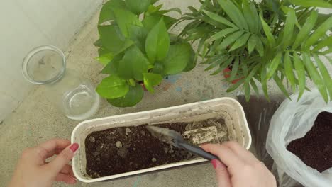 female hands mixing dirt, soil, and water with gardening tools in  the first-person point of view