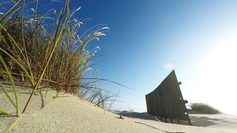 sand dunes