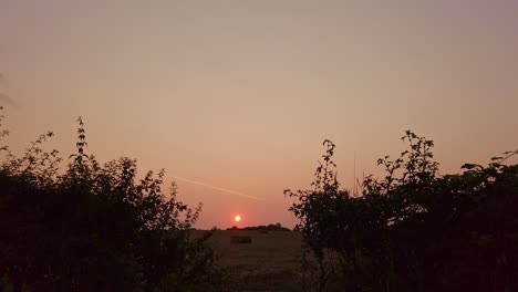 tiro deslizante del campo agrícola al atardecer mirando hacia una puesta de sol