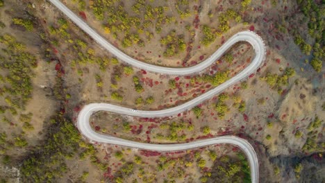 white car goes on serpentine mountain road. aerial vertical top view. drone is flying downward.