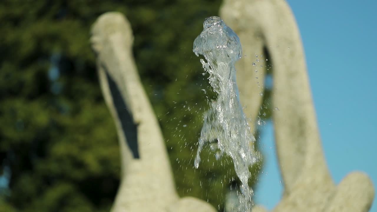 公共公園の噴水のクローズアップショット