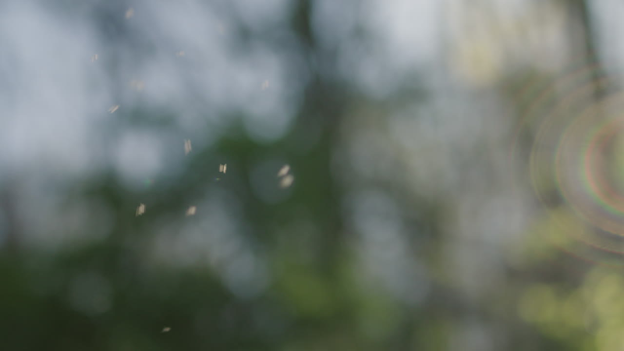 Blurred natural background with bokeh and lens flare