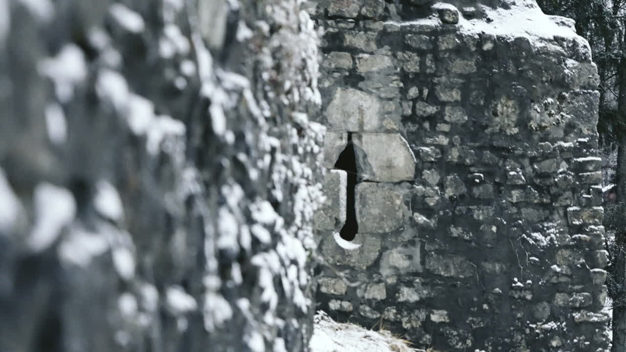 은 성의 밖에서 망가진 성의 새