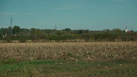 expansive harvested cornfield with a distant church under a clear sky in lonjsko polje krapje