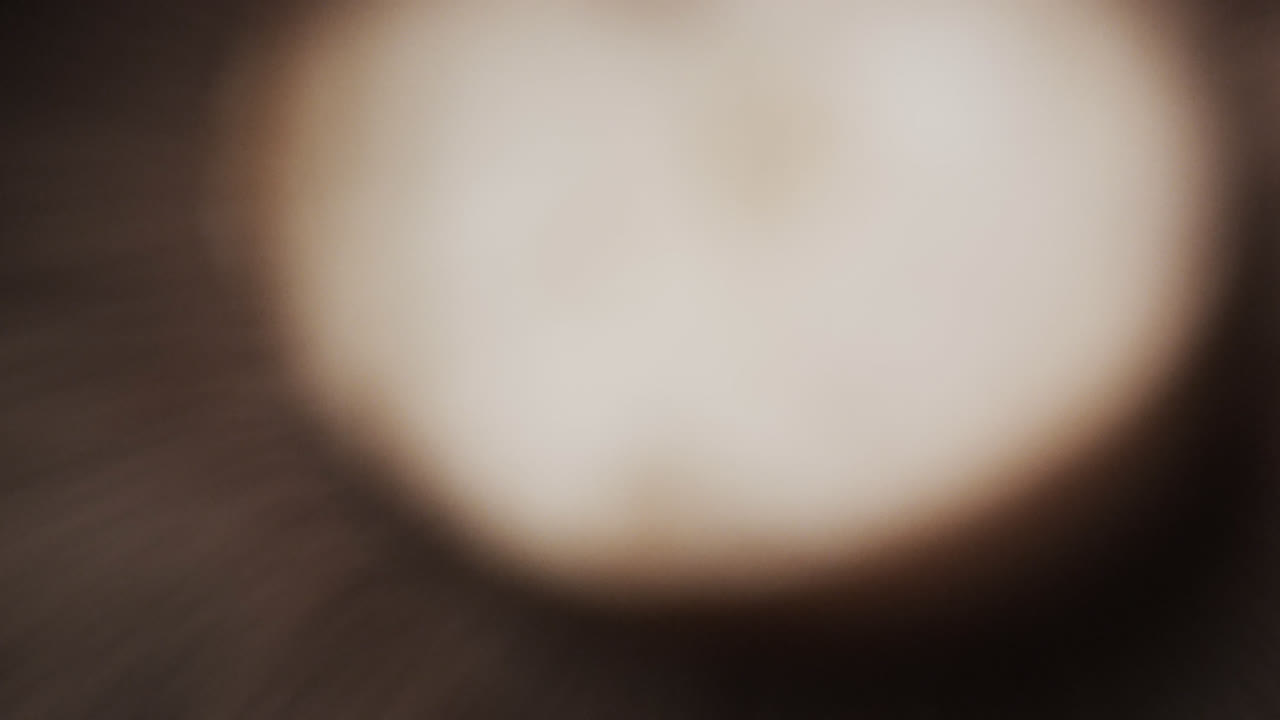 Micro video of close up of mushroom with copy space