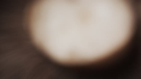 micro video of close up of mushroom with copy space