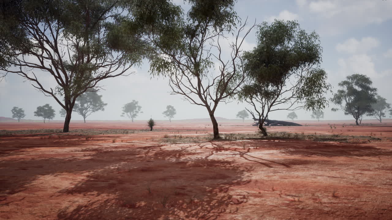 Paesaggio dell'entroterra australiano