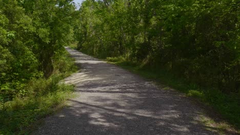 Waldwanderweg-Mehrere-Aufnahmen