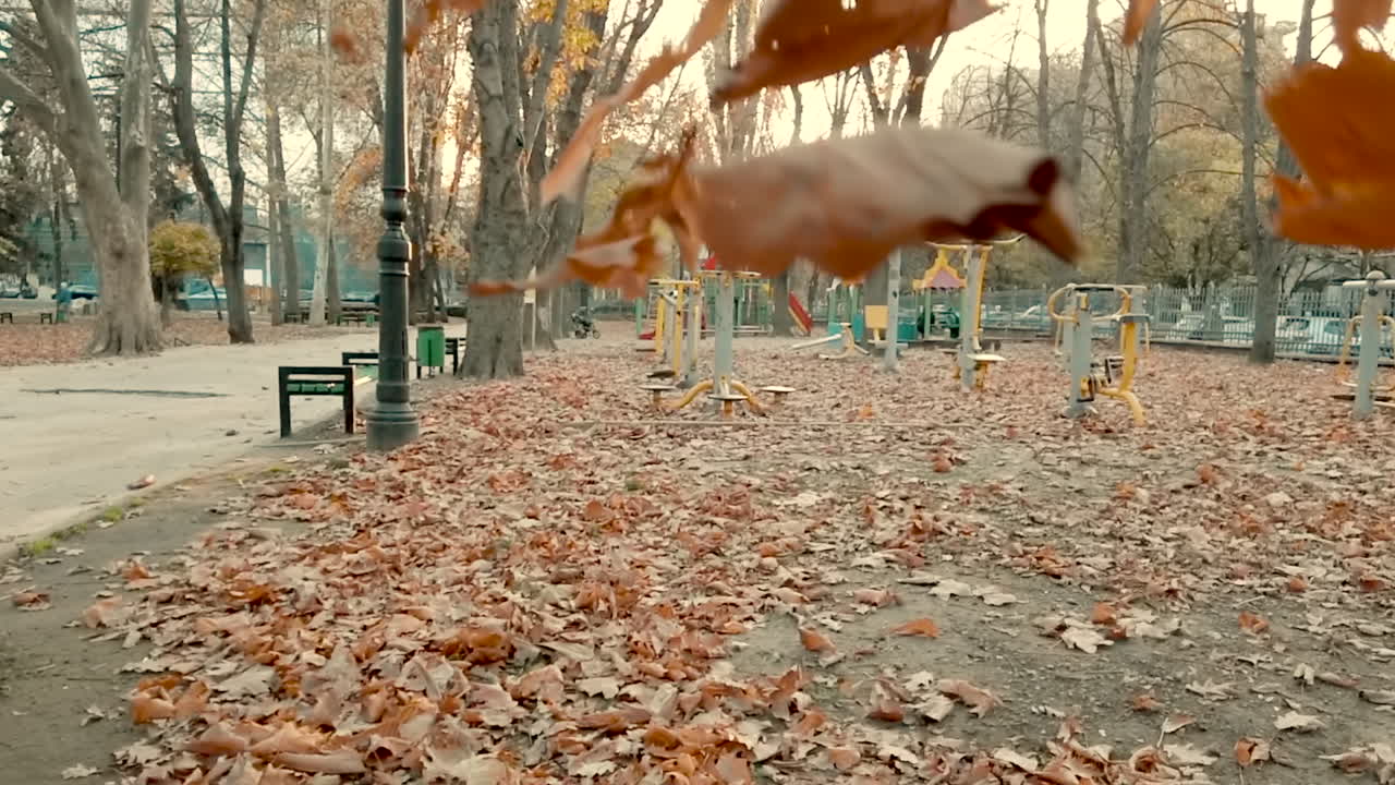 Dried up leaves falling on the ground in a park
