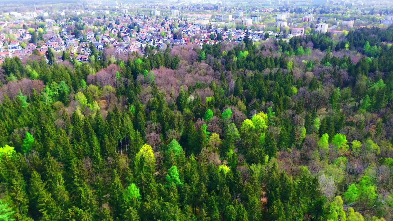 Aerial View of Lush Forest Bordering Urban Area in Spring