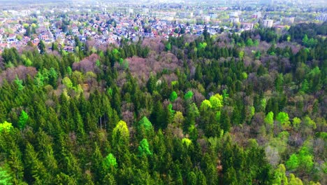 aerial view of lush forest bordering urban area in spring