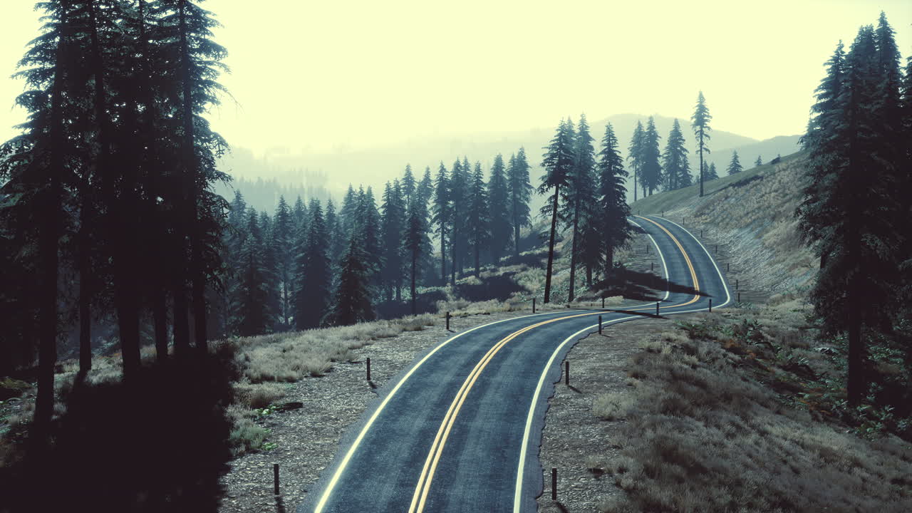 가을 에 도로 와 숲 에 대한 자연적 인 공중 전망
