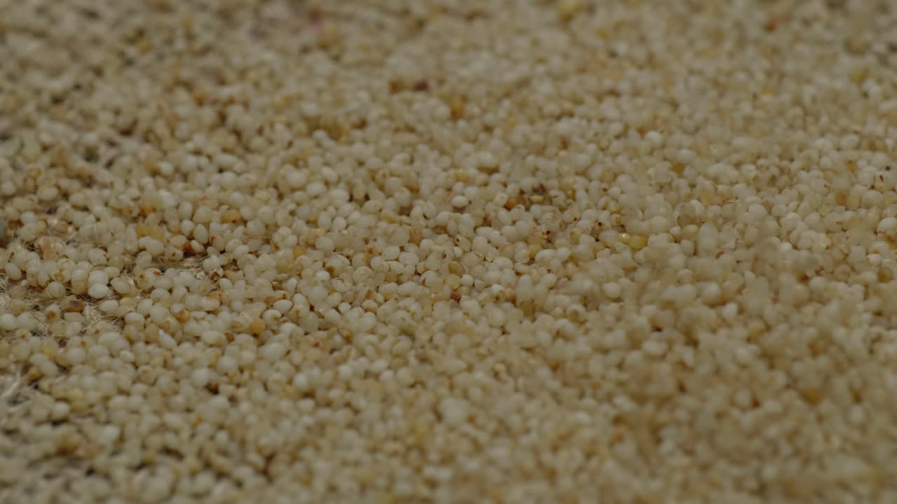 little millet grains falling on textured jute cloth, 4k stable shot