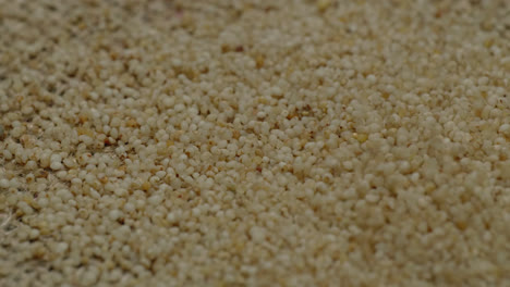 little millet grains falling on textured jute cloth, 4k stable shot