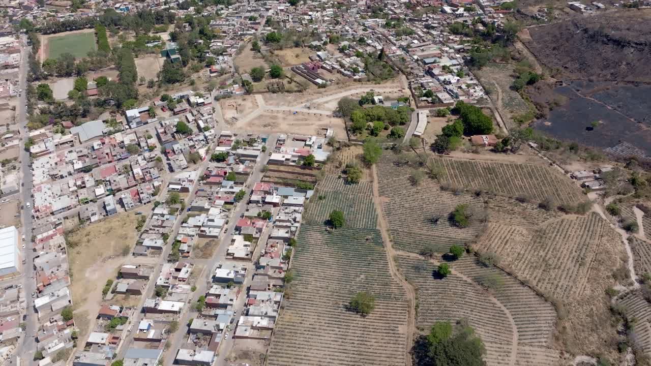 Agave agricultural fields in Amatitan neighbourhood in Mexican state of Jalisco, Arid climate landscape, Establishing drone shot