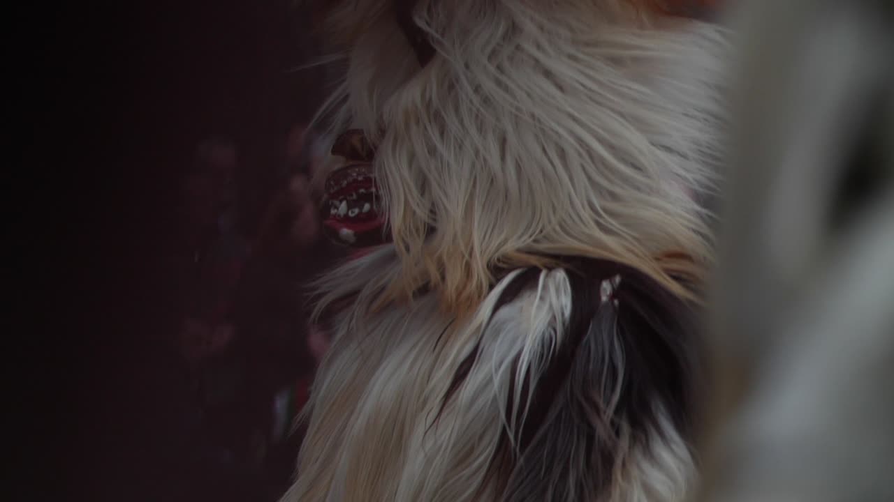 뿔이 달린 긴 머리에 털이 많은 마스크, 전경 전환이 있는 불가리아 쿠커 의상의 일부