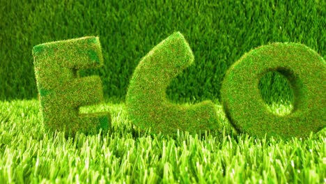 letters on the green grass. eco concept background.