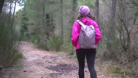 Chica-Excursionista,-Mujer-Al-Aire-Libre-En-El-Bosque-De-Montaña,-Caminar-Por-La-Naturaleza,-Pasear,-Deambular-Por-El-Bosque-En-Invierno