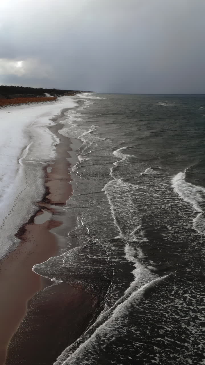 Vista aerea di una spiaggia invernale con neve e onde oceaniche
