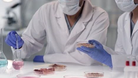 scientists examining samples in a laboratory