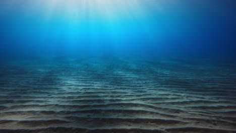 the blue ocean underwater hides secrets of biodiversity