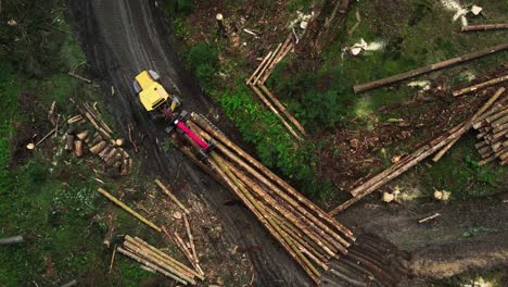 a pile of logs being dragged by the forest harvester