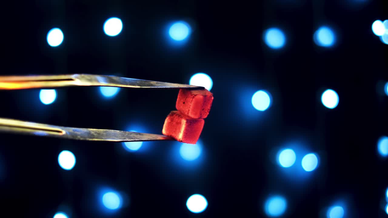 Hot Charcoal Briquettes Held with Tongs