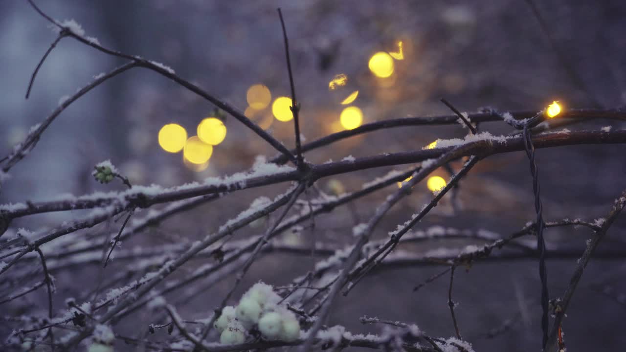 Closeup and focusshift of a Strip of lights in a bush during light snowfall.