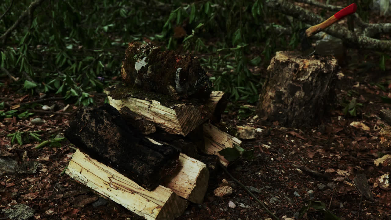 Stack of cut chopped logs next to axe on forest floor, parallax