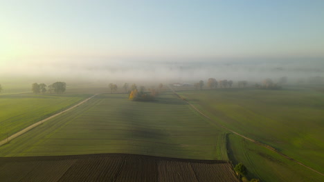 epic fly over beautiful meadows and fields during a misty morning sunrise, drone aerial