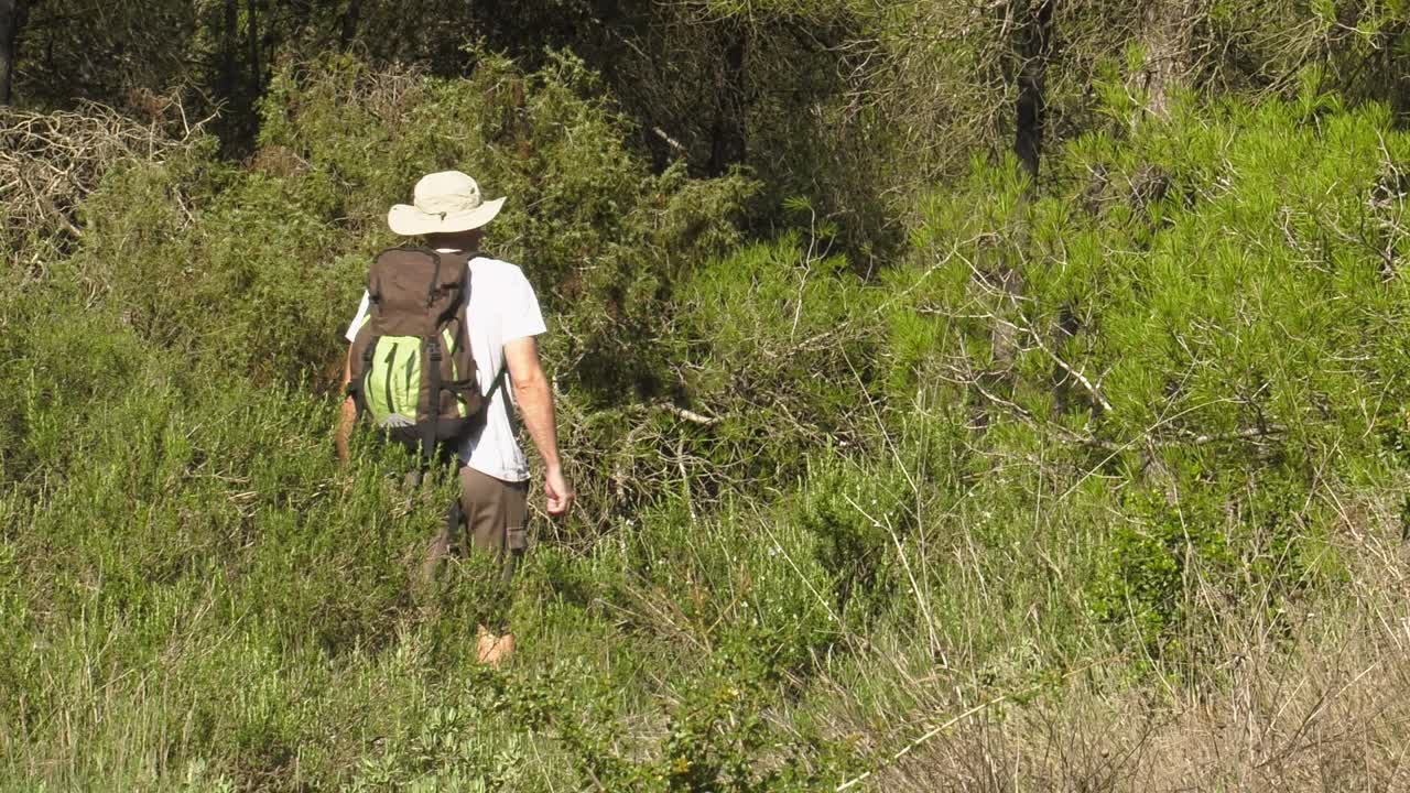 hombre de mediana edad caminando por el bosque con mochila