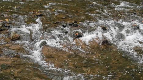 Wissahickon-Creek-flows-over-rocks,-stones