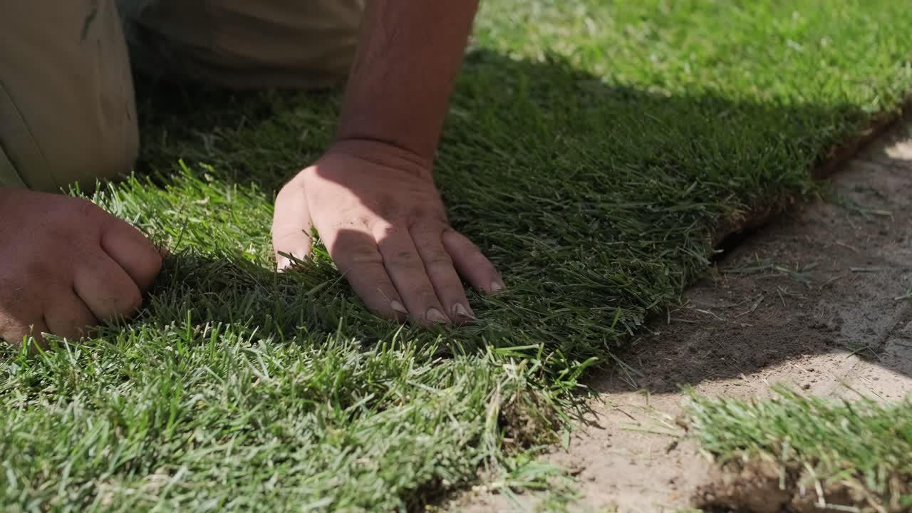 잔디 설치 및 조경 프로젝트를 위해 뒷마당 정원에 소드 풀을 는 사람, 주거 마당의 신선하고 푸른 잔디를 위해 집 개선 및 야외 유지에 초점을 맞추고 있습니다.