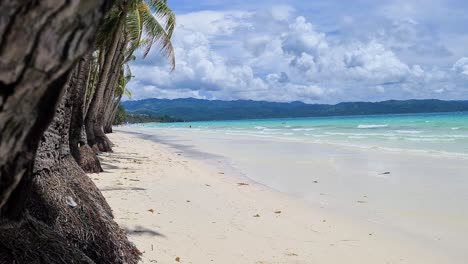 tropical boracay island and white beach, philippines, revealing shot behind palm tree