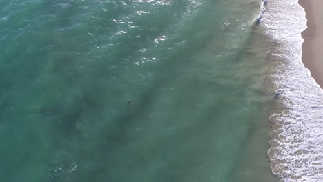 Aerial-shot-looking-straight-down-at-idyllic-beach-shoreline-with-waves-rolling-in-on-sandy-beach