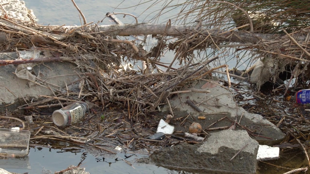 Toma estática en picado de botellas de plástico y basura enredadas en madera flotante a lo largo de una orilla.