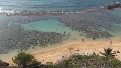 beach time at hanauma bay, hawaii kai neighborhood of east honolulu, oahu