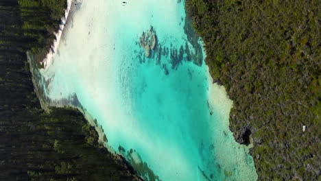 isla de pinos y la piscina natural - paralaje aéreo vertical