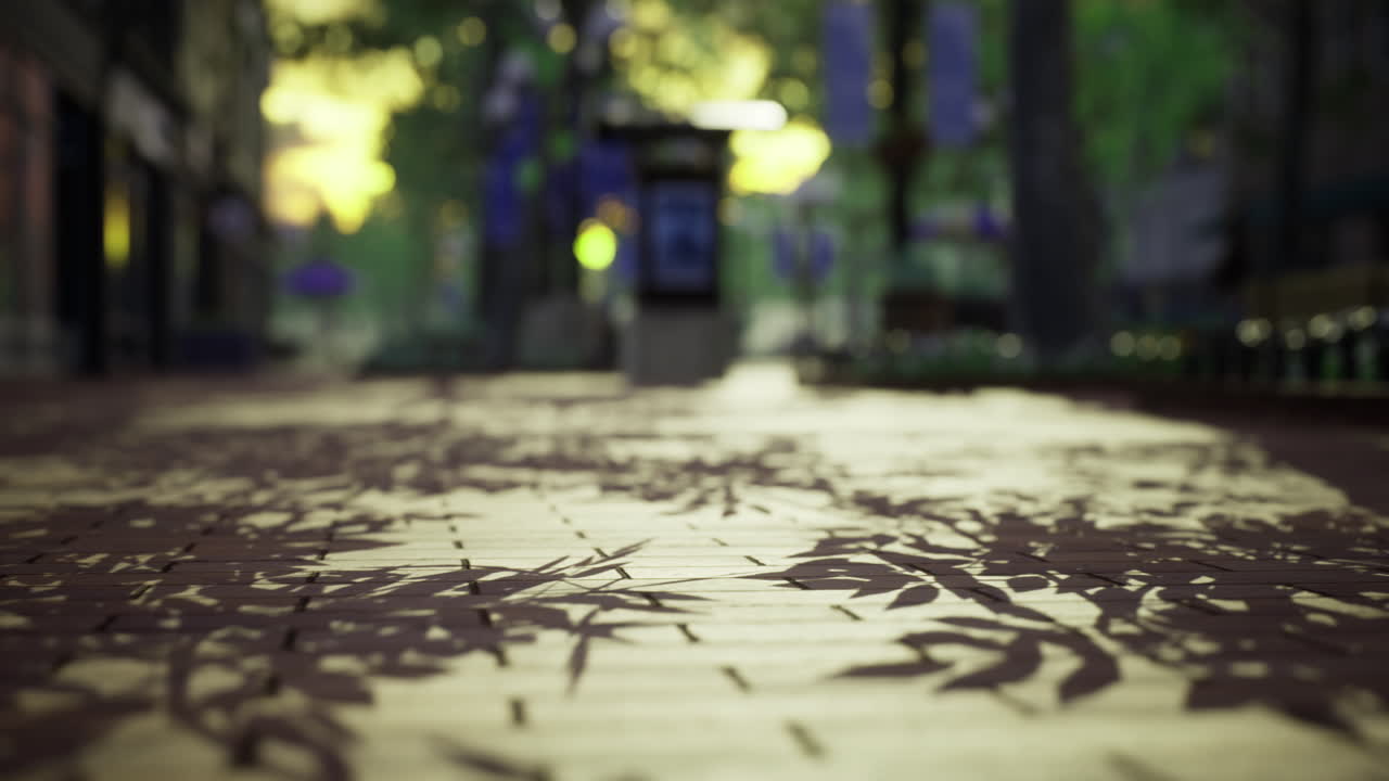 Shadows cast by trees along a peaceful walkway at sunset in a tranquil park