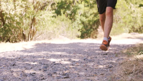hombre corriendo en el bosque