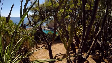 Blick-Auf-Gebäude-Und-Hafen-In-Monaco-Im-Sommer-Hinter-Bäumen-Im-Park