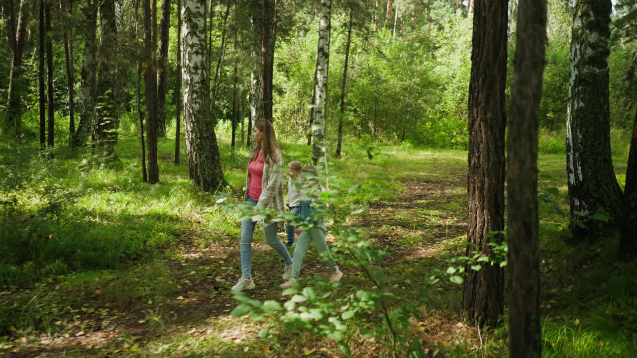 Young woman walks ahead of two children along forest trail in lush tropical woodland, surrounded by trees and dense greenery, creating peaceful outdoor exploration scene filled with natural light