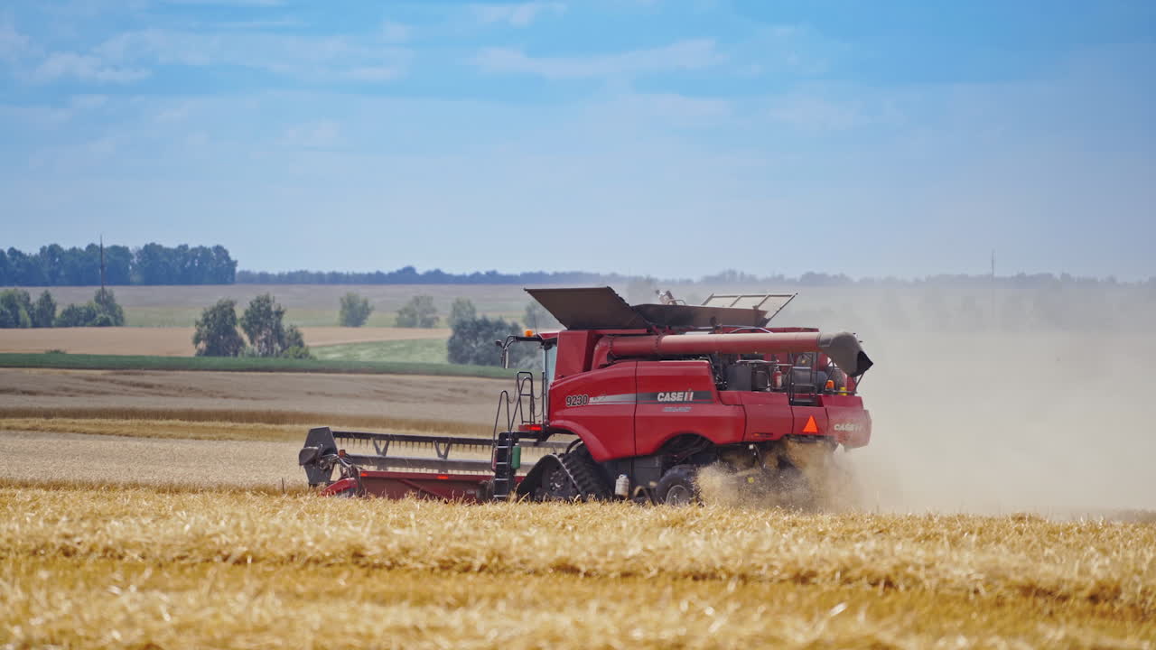 Combine harvesting golden wheat. Landscape view of modern combine harvester in action